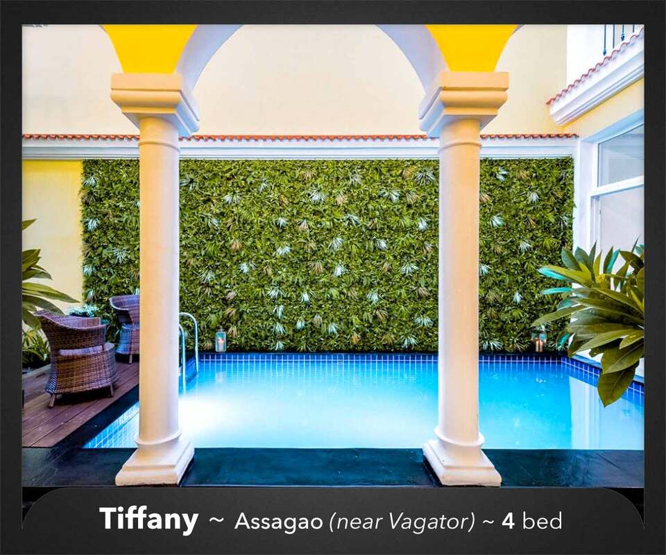 tiffany villa assagao pool for rent